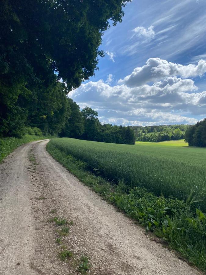 Ferienwohnung Zur Roni Treuchtlingen Esterno foto