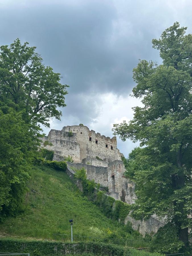Ferienwohnung Zur Roni Treuchtlingen Esterno foto
