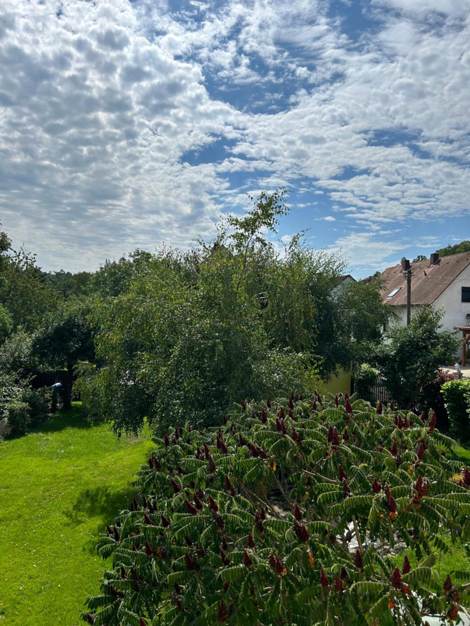 Ferienwohnung Zur Roni Treuchtlingen Esterno foto